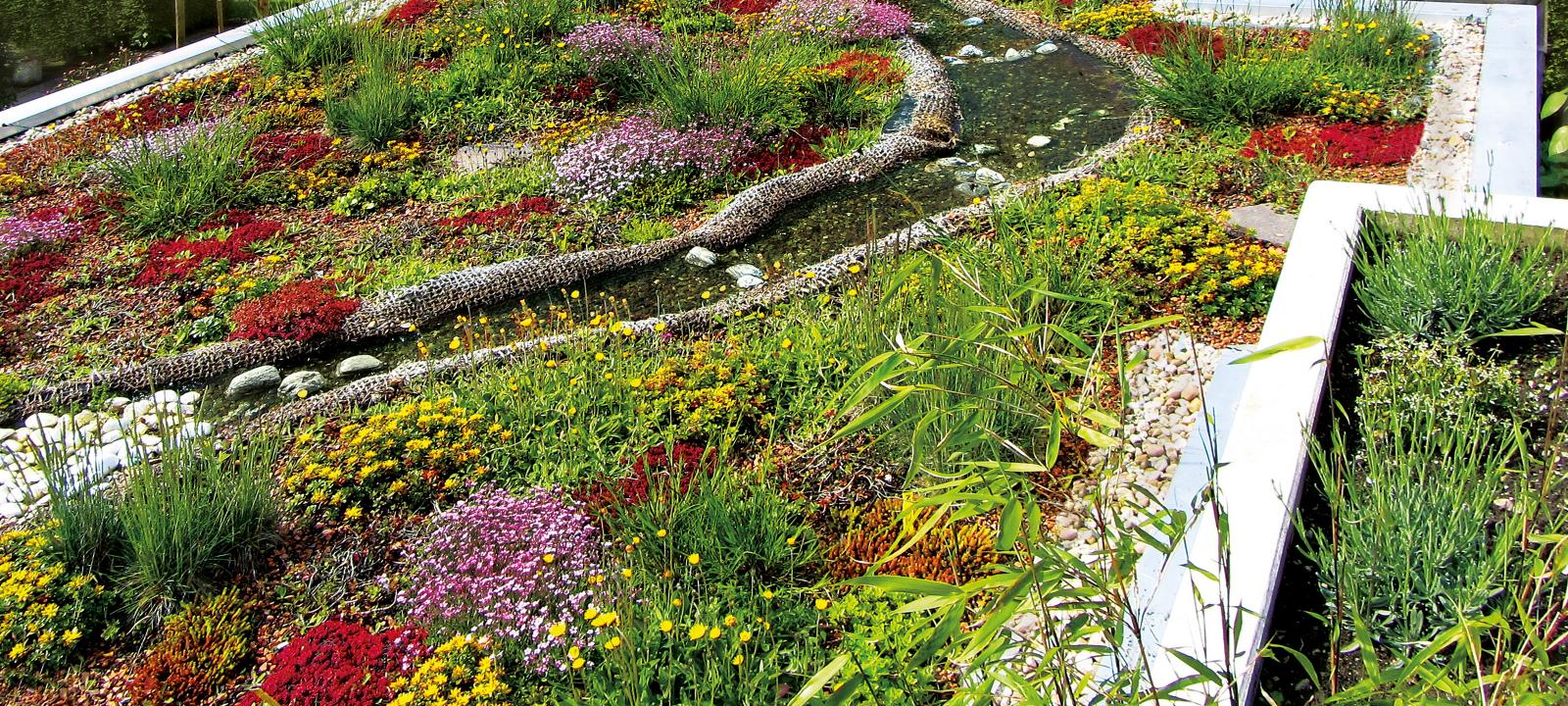 Extensive green roof with gravel and water course